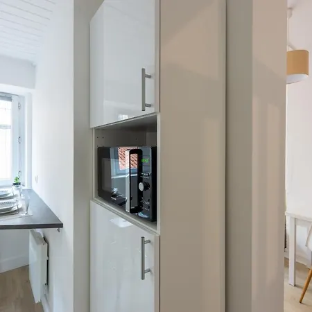 Appartement Honore Ferrandiere Lyon
